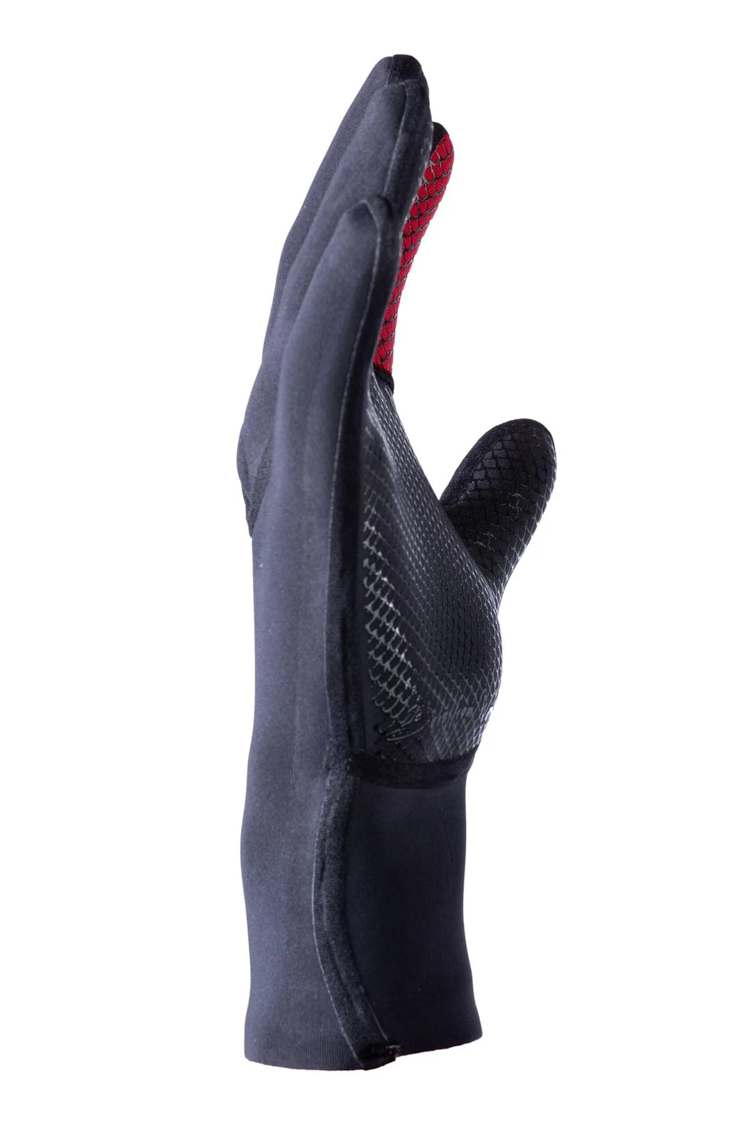 5.5mm Essentials Gloves